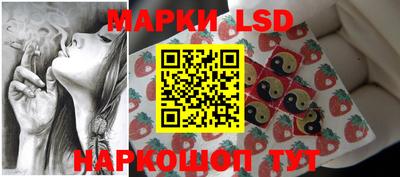 хмурый Сланцы