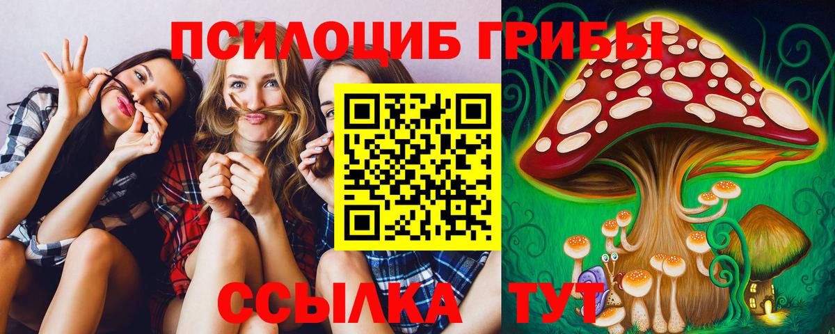 Галлюциногенные грибы прущие грибы Свободный