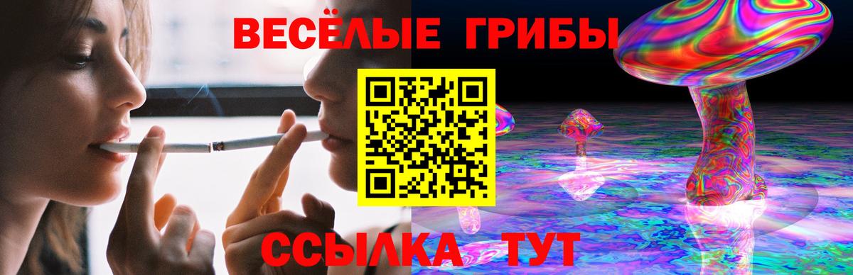 Свободный  купить наркотик  Вход с VPN  Псилоцибиновые грибы GOLDEN TEACHER 