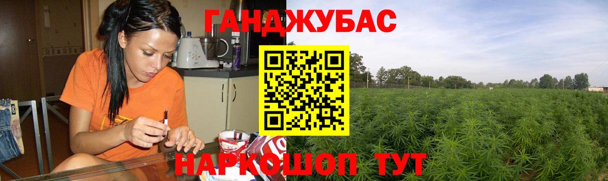 Канабис планчик Свободный